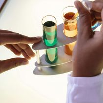 Services CAMEL CONSULTING